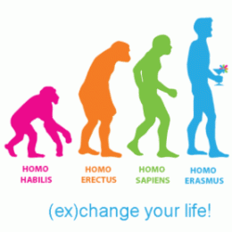 homo_erasmus