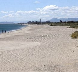 Playa Arbre del Gos