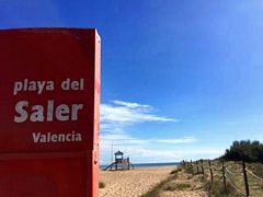 tn_saler1