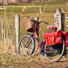 bicycle-3204030_640 (1)