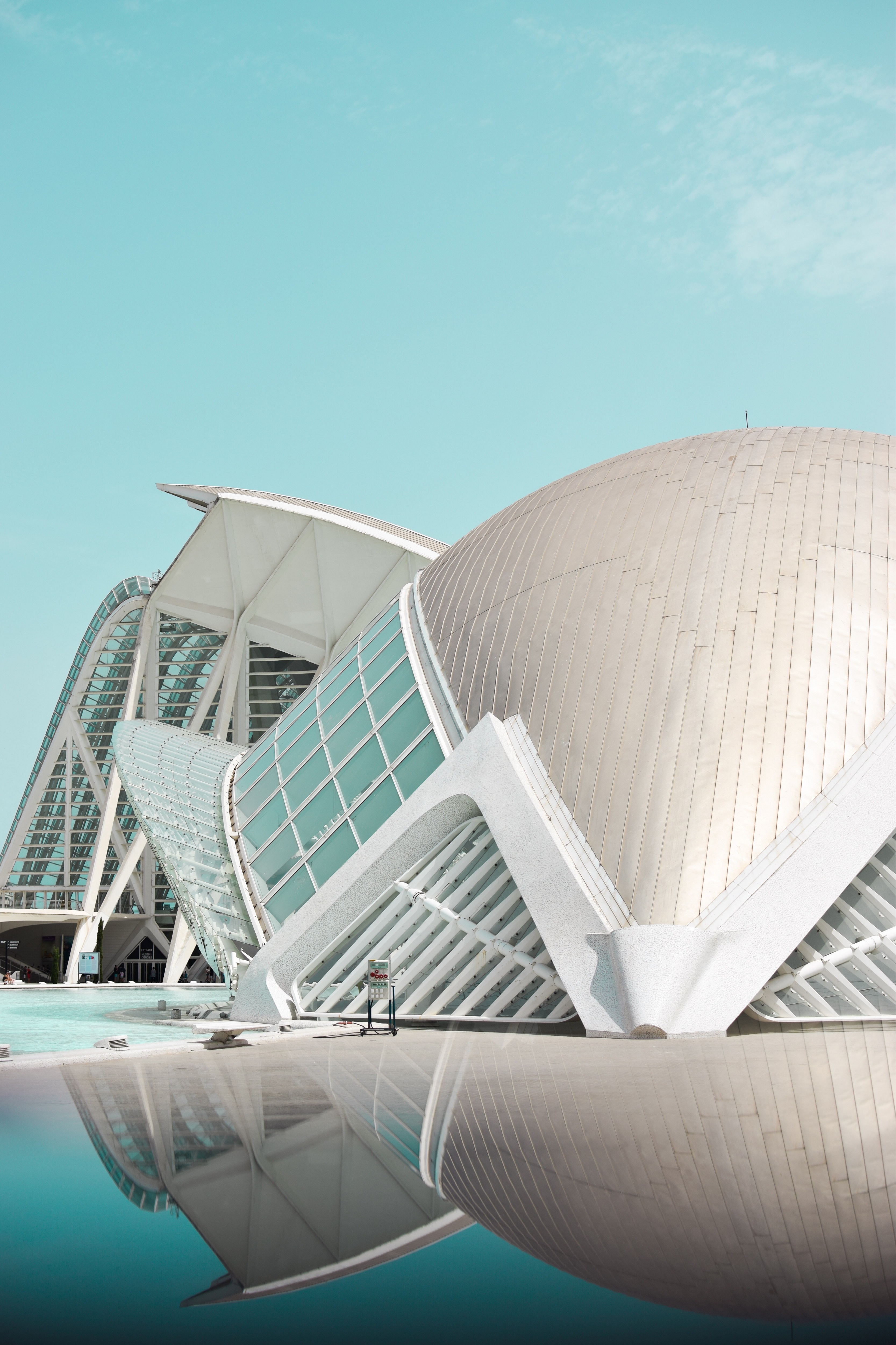 Imparare lo spagnolo in Spagna: perchè scegliere Valencia, Città delle Arti e delle Scienze