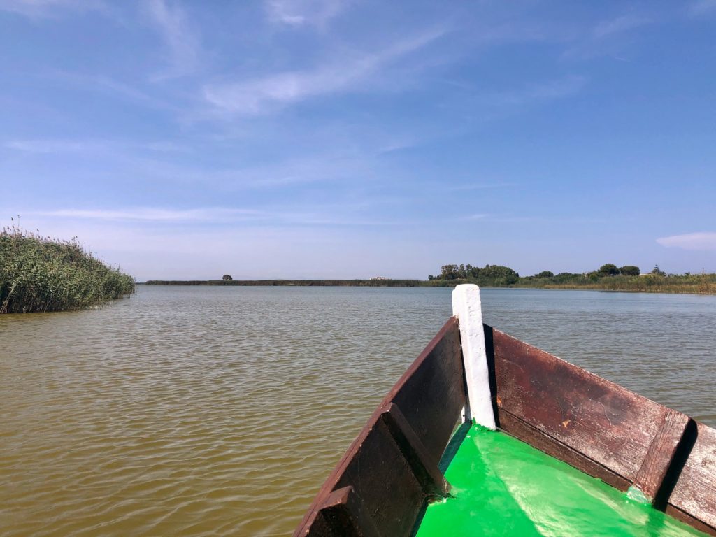 Valencia gite fuori porta: alla scoperta di El Palmar - giro della laguna in barca