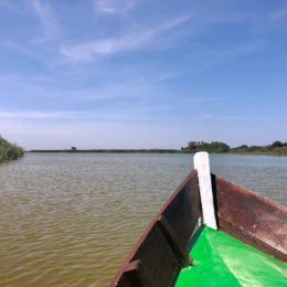 Valencia gite fuori porta: alla scoperta di El Palmar – giro della laguna in barca