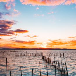 jValencia gite fuori porta: alla scoperta di El Palmar – Albufera al tramonto