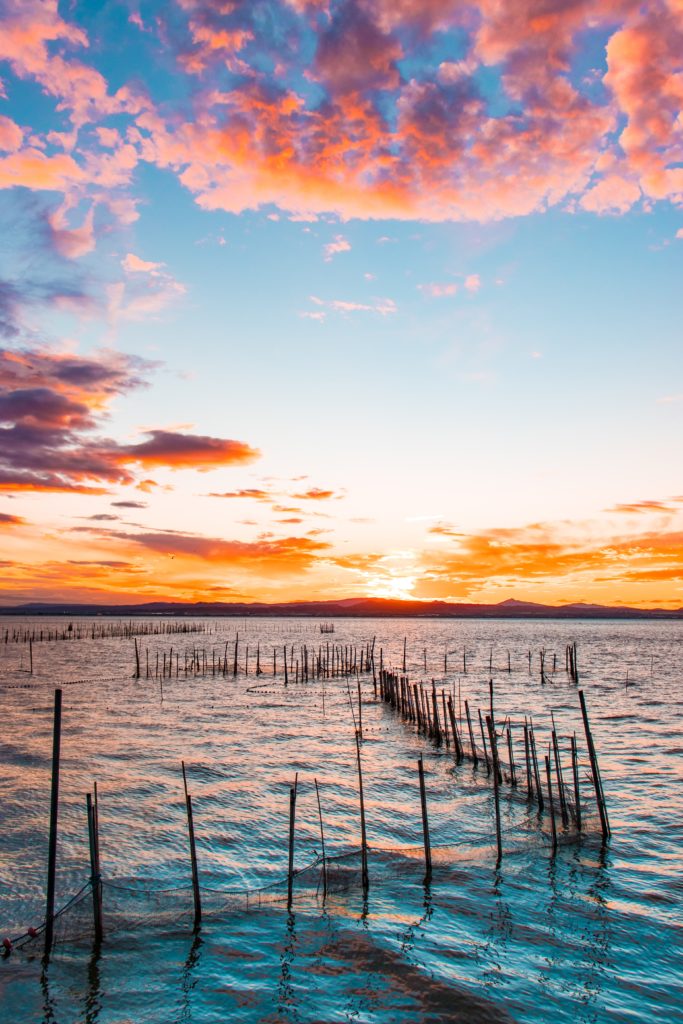 Valencia gite fuori porta: alla scoperta di El Palmar - Albufera al tramonto