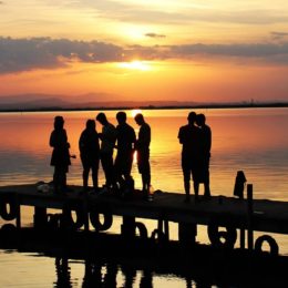 Valencia gite fuori porta: alla scoperta di El Palmar – Albufera al tramonto